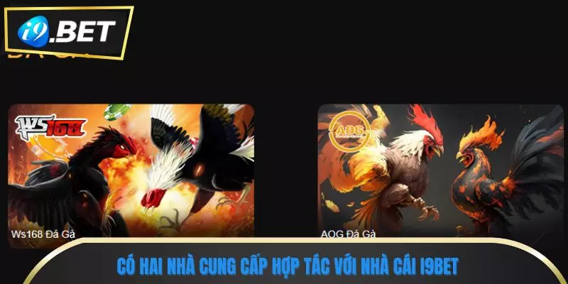 i9bet 7 Có hai nhà cung cấp hợp tác với nhà cái i9bet